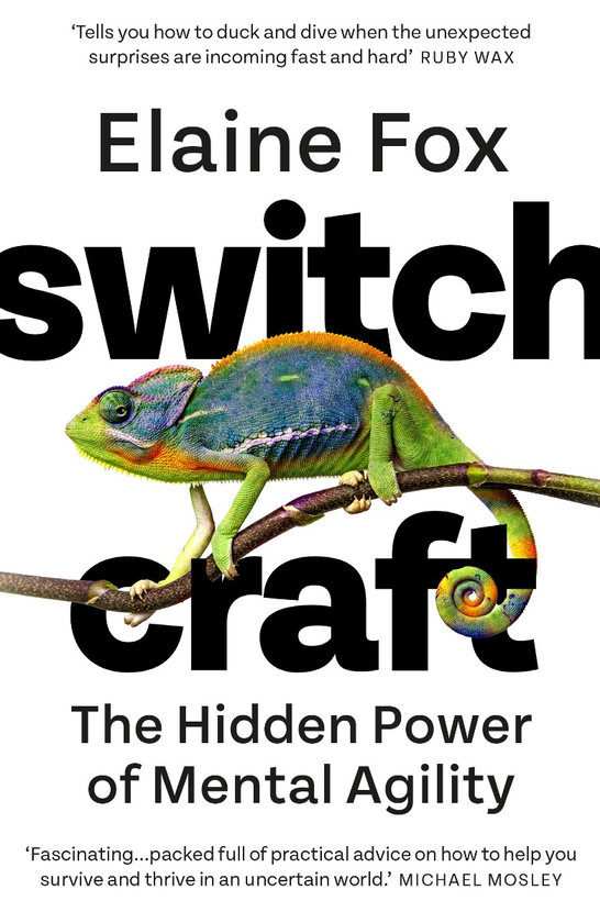 Бумажная книга «Switchcraft. How Agile Thinking Can Help You Adapt and Thrive», автор Элейн Фокс - фото №1