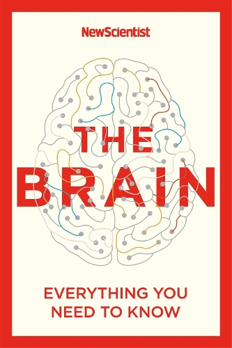 [object Object] «The Brain: Everything You Need to Know», автор New Scientist - фото №1