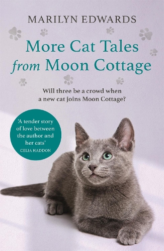 Бумажная книга «More Cat Tales From Moon Cottage», автор Мэрилин Эдвардс - фото №1