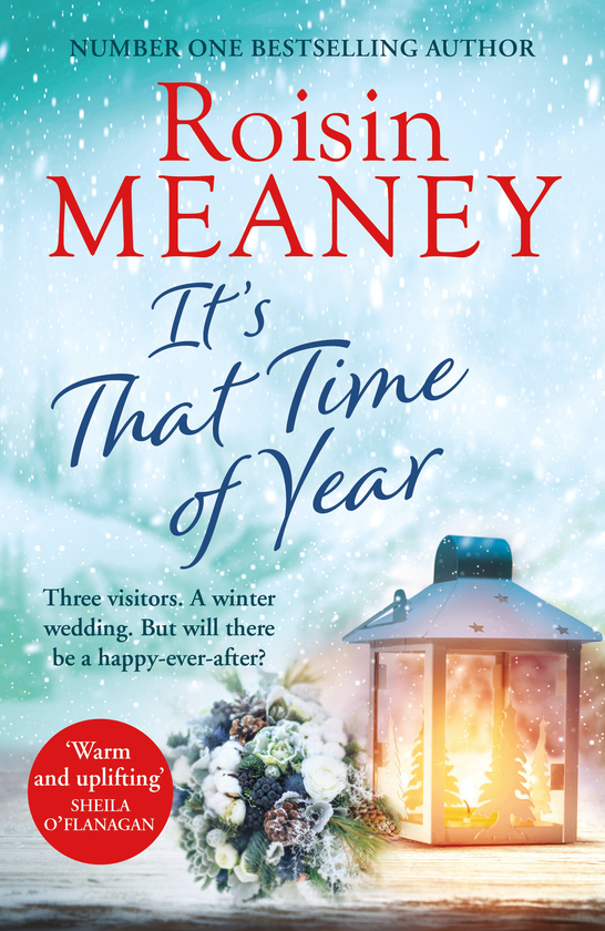 Паперова книга «It's That Time of Year», автор Ройзін Міні - фото №1