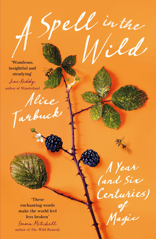 Паперова книга «A Spell in the Wild. A Year (and six centuries) of Magic», автор Аліса Тарбак - фото №1