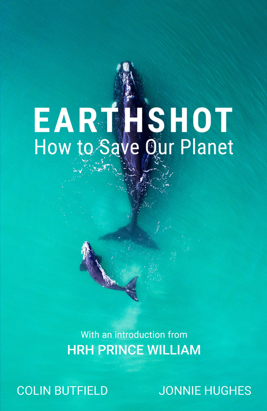 Бумажная книга «Earthshot. How to Save Our Planet», авторов Колин Батфилд, Джонни Хьюз - фото №1