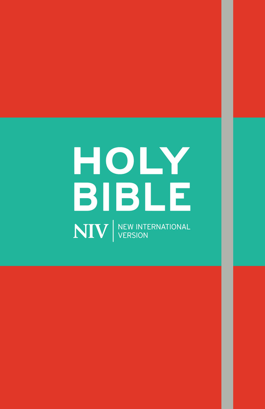 Бумажная книга «Holy Bible» - фото №1