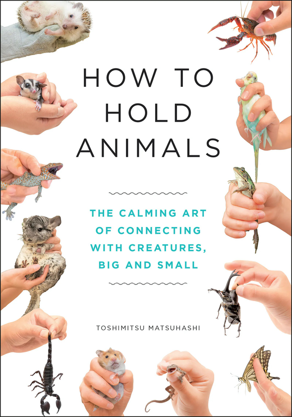 Бумажная книга «How to Hold Animals», автор Тосимицу Мацухаси - фото №1