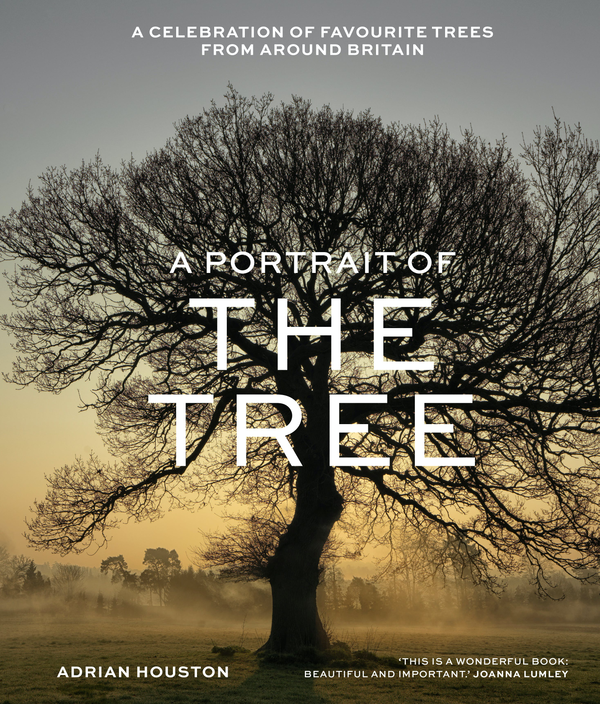 Паперова книга «A Portrait of the Tree. A celebration of favourite trees from around Britain», автор Адріан Х'юстон - фото №1