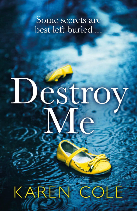 Бумажная книга «Destroy Me», автор Карен Коул - фото №1