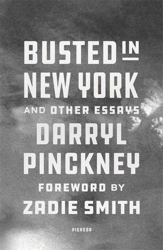 Паперова книга «Busted in New York & Other Essays», автор Дерріл Пінкні - фото №1