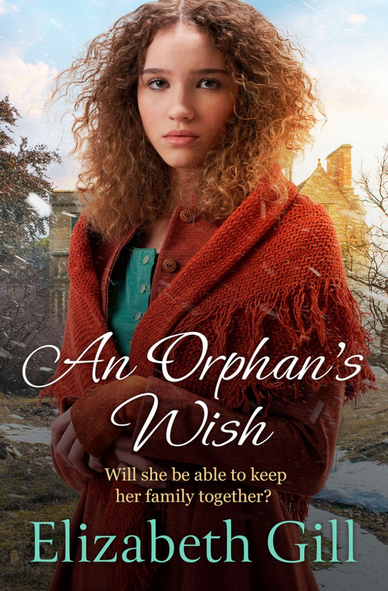 Паперова книга «An Orphan's Wish», автор Елізабет Гілл - фото №1