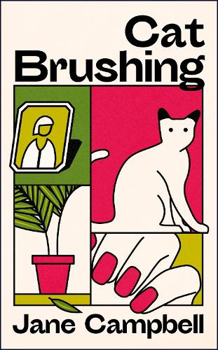 Бумажная книга «Cat Brushing: a dazzling short story collection about thirteen older women», автор Джейн Кэмпбелл - фото №1