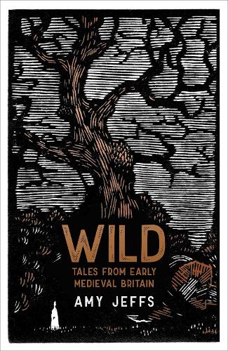 Бумажная книга «Wild: Tales from Early Medieval Britain», автор Эми Джеффс - фото №1