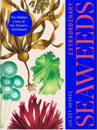 Бумажная книга «Extraordinary Seaweeds: The hidden lives of the ocean's architects», автор Джульет Броди - фото №1