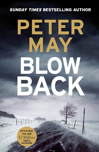 [object Object] «Blowback: The exciting penultimate case in the addictive crime series (The Enzo Files Book 5)», автор Пітер Мей - фото №1