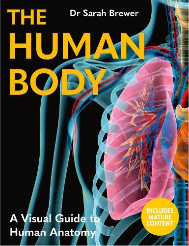 Бумажная книга «The Human Body: A Visual Guide to Human Anatomy», автор Сара Брюер - фото №1