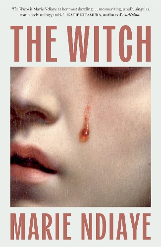 Бумажная книга «The Witch: Shortlisted for the International Booker Prize 2026», автор Мари Ндиайе - фото №1