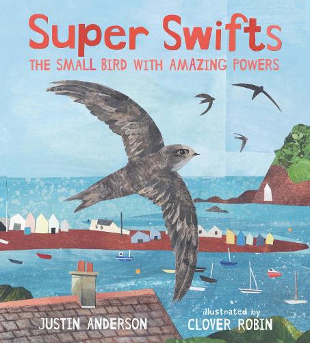 Паперова книга «Super Swifts: The Small Bird With Amazing Powers», автор Джастін Андерсон - фото №1
