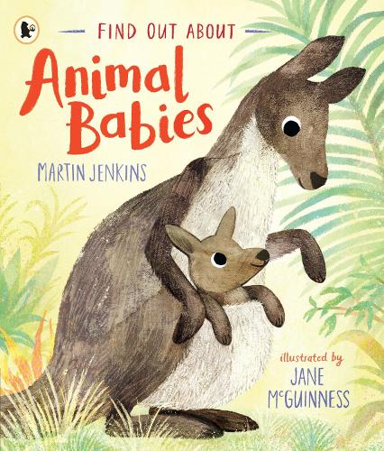 Бумажная книга «Find Out About ... Animal Babies», автор Мартин Дженкинс - фото №1