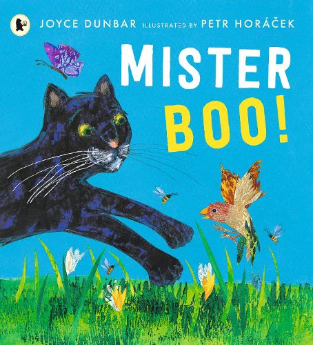Бумажная книга «Mister Boo!», автор Джойс Данбар - фото №1