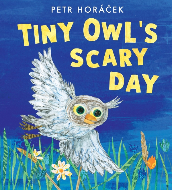 Бумажная книга «Tiny Owl's Scary Day», автор Петр Горачек - фото №1