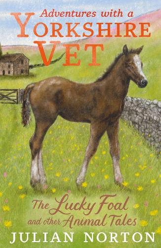 Бумажная книга «Adventures with a Yorkshire Vet: The Lucky Foal and Other Animal Tales», автор Джулиан Нортон - фото №1