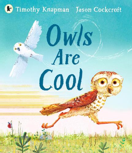 Бумажная книга «Owls Are Cool», автор Тимоти Напман - фото №1