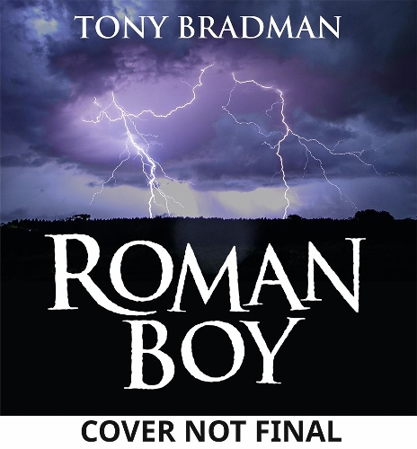Бумажная книга «Roman Boy», автор Тони Брэдман - фото №1
