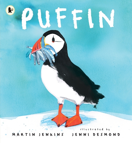 Паперова книга «Puffin», автор Мартін Дженкінс - фото №1