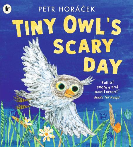Бумажная книга «Tiny Owl's Scary Day», автор Петр Горачек - фото №1
