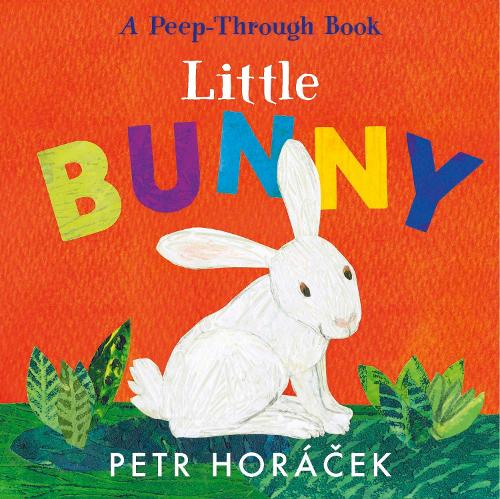 Паперова книга «Little Bunny», автор Петр Горачек - фото №1