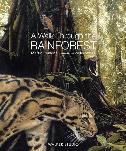 Паперова книга «A Walk Through the Rainforest», автор Мартін Дженкінс - фото №1