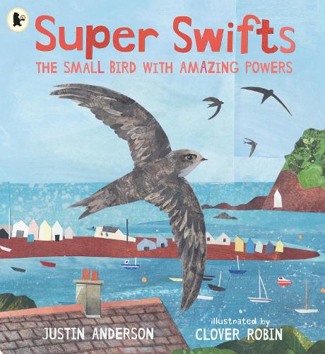 Бумажная книга «Super Swifts: The Small Bird With Amazing Powers», автор Джастин Андерсон - фото №1