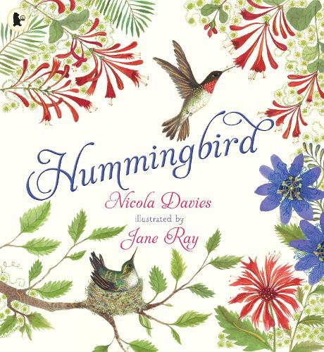 [object Object] «Hummingbird», автор Никола Дэвис - фото №1
