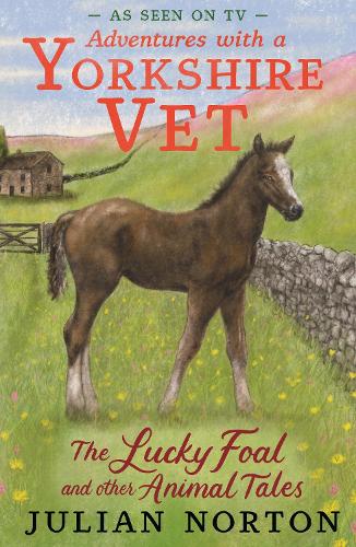 Бумажная книга «Adventures with a Yorkshire Vet: The Lucky Foal and Other Animal Tales», автор Джулиан Нортон - фото №1
