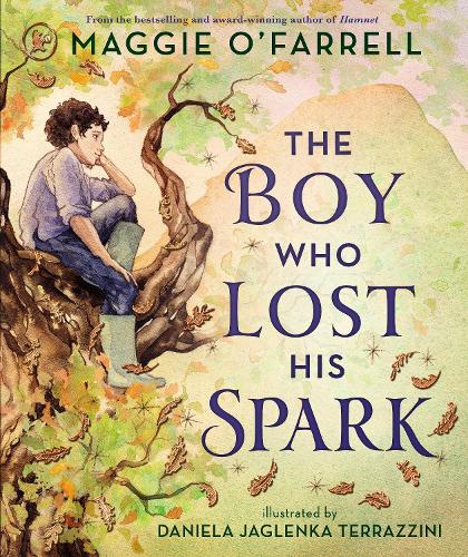 Паперова книга «The Boy Who Lost His Spark», автор Меггі О'Фаррелл - фото №1