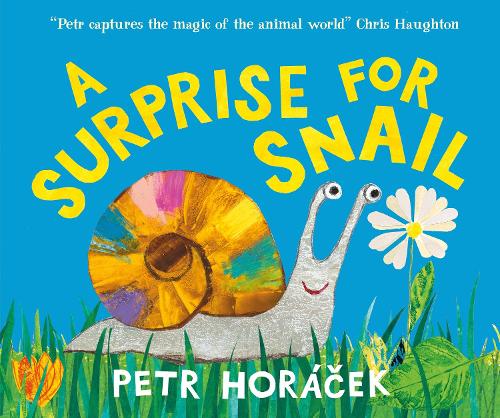Бумажная книга «A Surprise for Snail», автор Петр Горачек - фото №1