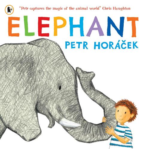 Паперова книга «Elephant», автор Петр Горачек - фото №1