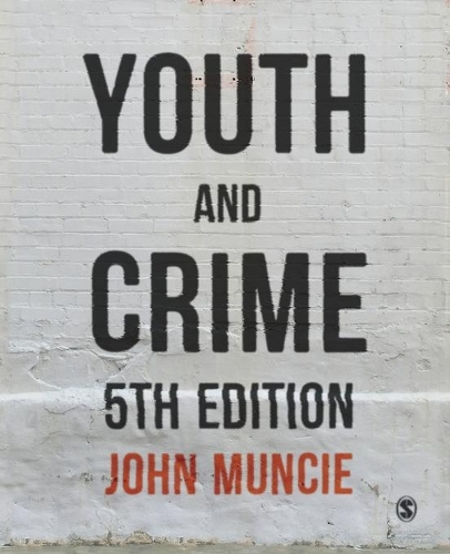 Бумажная книга «Youth and Crime», автор Джон Манси - фото №1