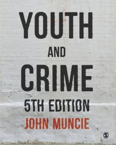 Бумажная книга «Youth and Crime», автор Джон Манси - фото №1