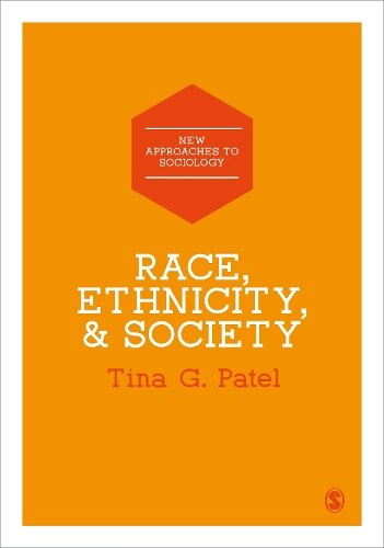 Паперова книга «Race, Ethnicity & Society», автор Тіна Г. Пател - фото №1