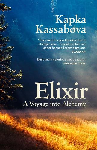 [object Object] «Elixir: A Voyage into Alchemy», автор Капка Кассабова - фото №1