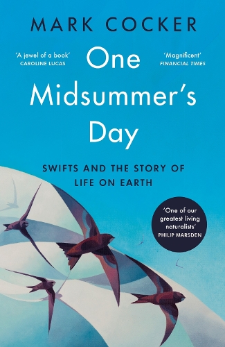 Бумажная книга «One Midsummer's Day: Swifts and the Story of Life on Earth», автор Марк Кокер - фото №1