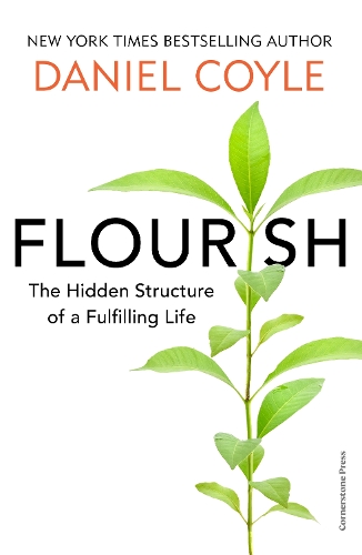 Паперова книга «Flourish: The Art of Building Meaning, Joy and Fulfilment», автор Деніел Койл - фото №1