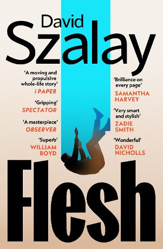 Бумажная книга «Flesh», автор Дэвид Салой - фото №1