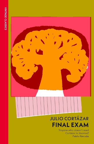Бумажная книга «Final Exam», автор Хулио Кортасар - фото №1