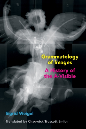 Бумажная книга «Grammatology of Images: A History of the A-Visible», автор Сигрид Вайгель - фото №1