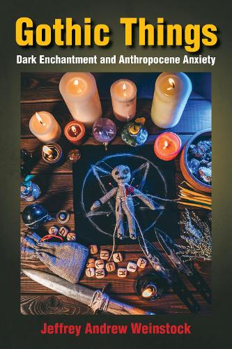 Паперова книга «Gothic Things: Dark Enchantment and Anthropocene Anxiety», автор Джеффрі Ендрю Вайнсток - фото №1