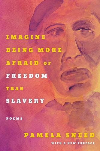 Бумажная книга «Imagine Being More Afraid of Freedom than Slavery», автор Памела Снид - фото №1