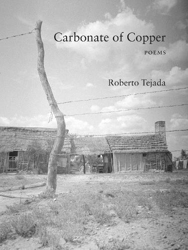 Бумажная книга «Carbonate of Copper», автор Роберто Техада - фото №1
