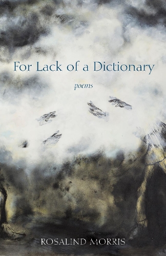 Бумажная книга «For Lack of a Dictionary», автор Розалинда Си Моррис - фото №1