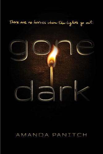Бумажная книга «Gone Dark», автор Аманда Панич - фото №1