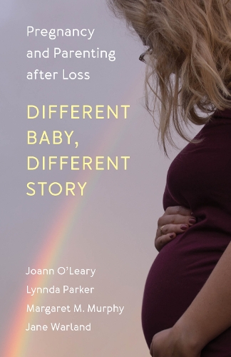 Паперова книга «Different Baby, Different Story: Pregnancy and Parenting after Loss», авторів Джейн Ворланд, Джоанна О'Лірі, Лінда Паркер, Маргарет М. Мерфі - фото №1